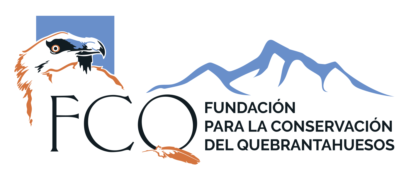 Fundación por la Conservación del Quebrantahuesos
