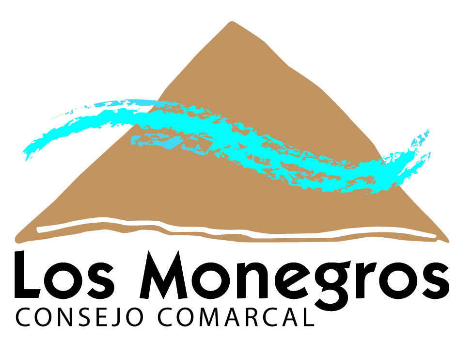 Consejo Comarcal de Los Monegros
